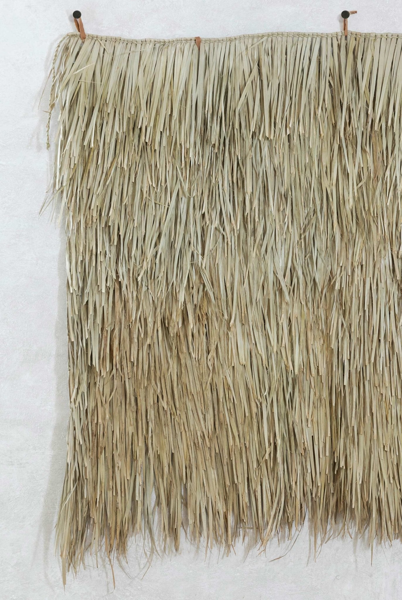 Palm Wall Hanging | Small by Andrea Garcia - Wool+Clay